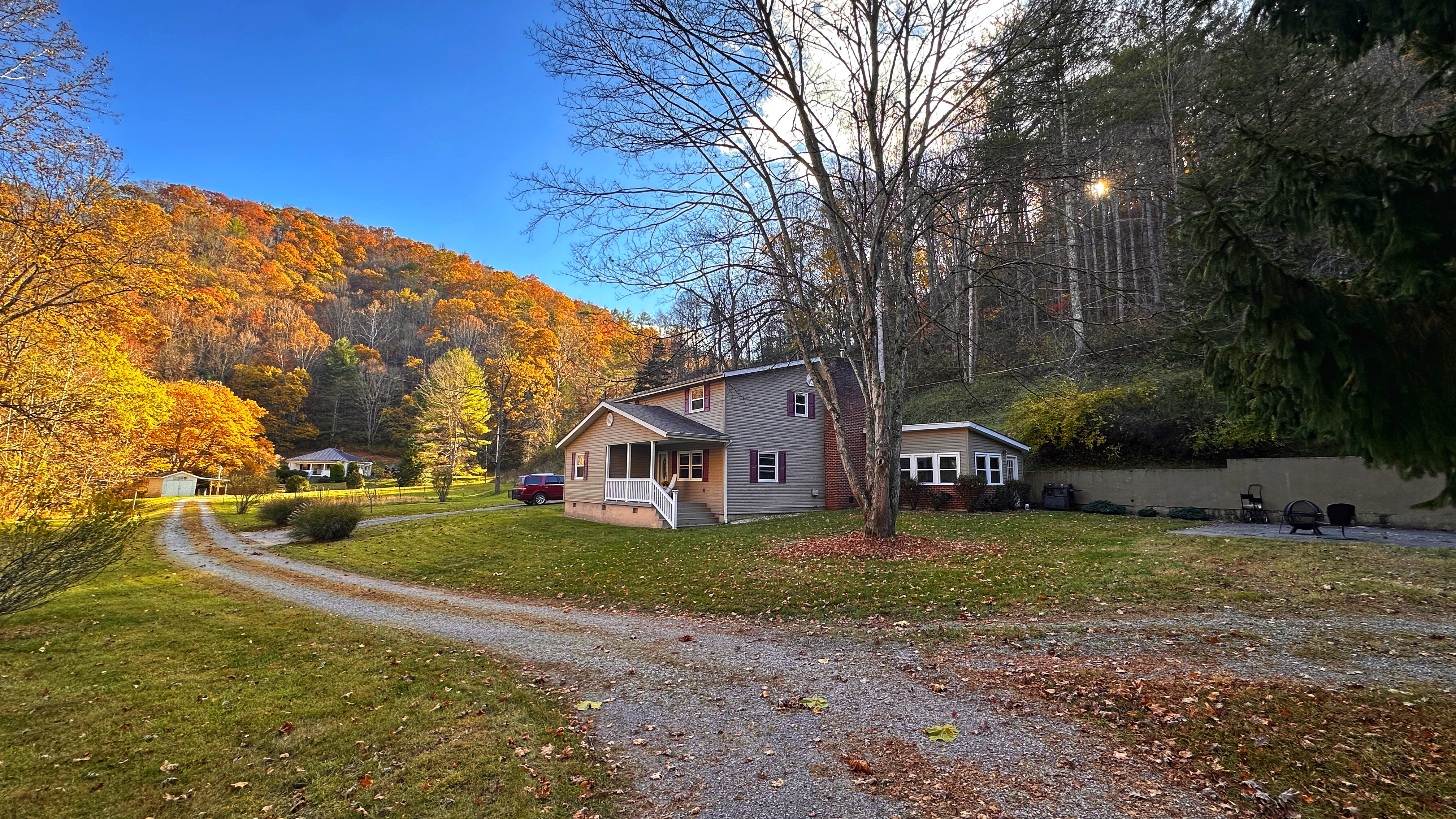 The Creek House with forest backdrop
